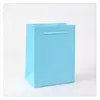 Plain Light Blue Gift Bags 